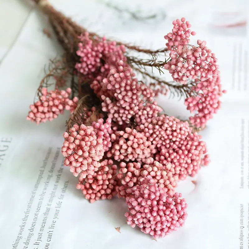Preserved Fresh Flower Various Colors  Natural Real Flower  Millet Flo