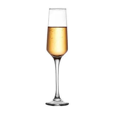 Champagne Flute Glasses Cocktail Glasses Elegantly Designed Hand Blown