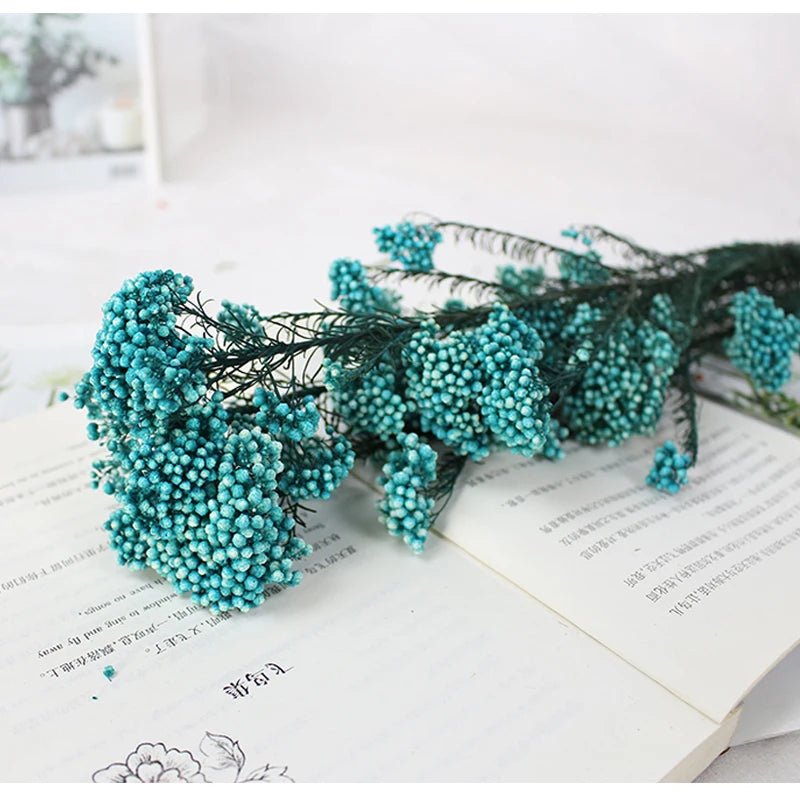 Preserved Fresh Flower Various Colors  Natural Real Flower  Millet Flo