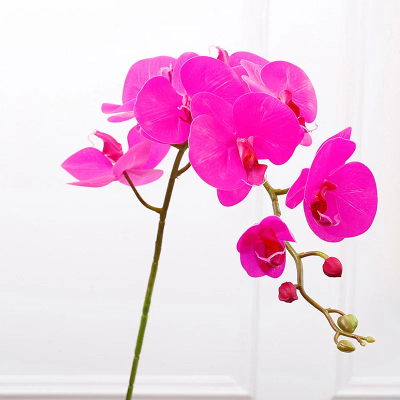 Real Touch Orchid Stems – 2 Piece Set