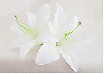 Rose Lily Cascading Bridal Bouquet