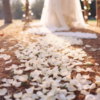 500 Rose petals  scattered white decoration Wedding Party