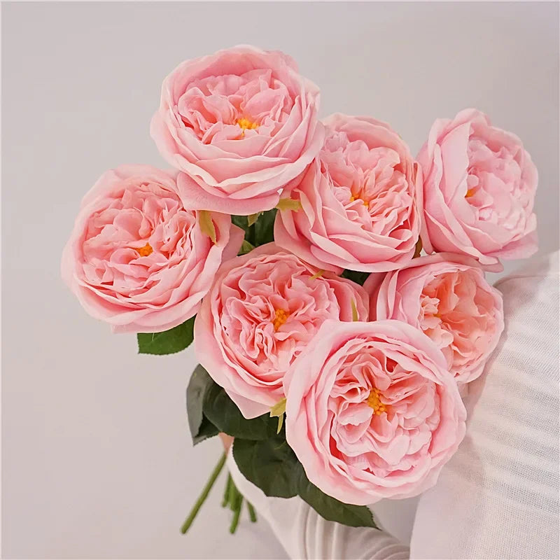 David Austin-Inspired Moisturizing Garden Roses – 5 Piece Set