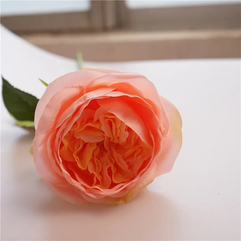 David Austin-Inspired Moisturizing Garden Roses – 5 Piece Set