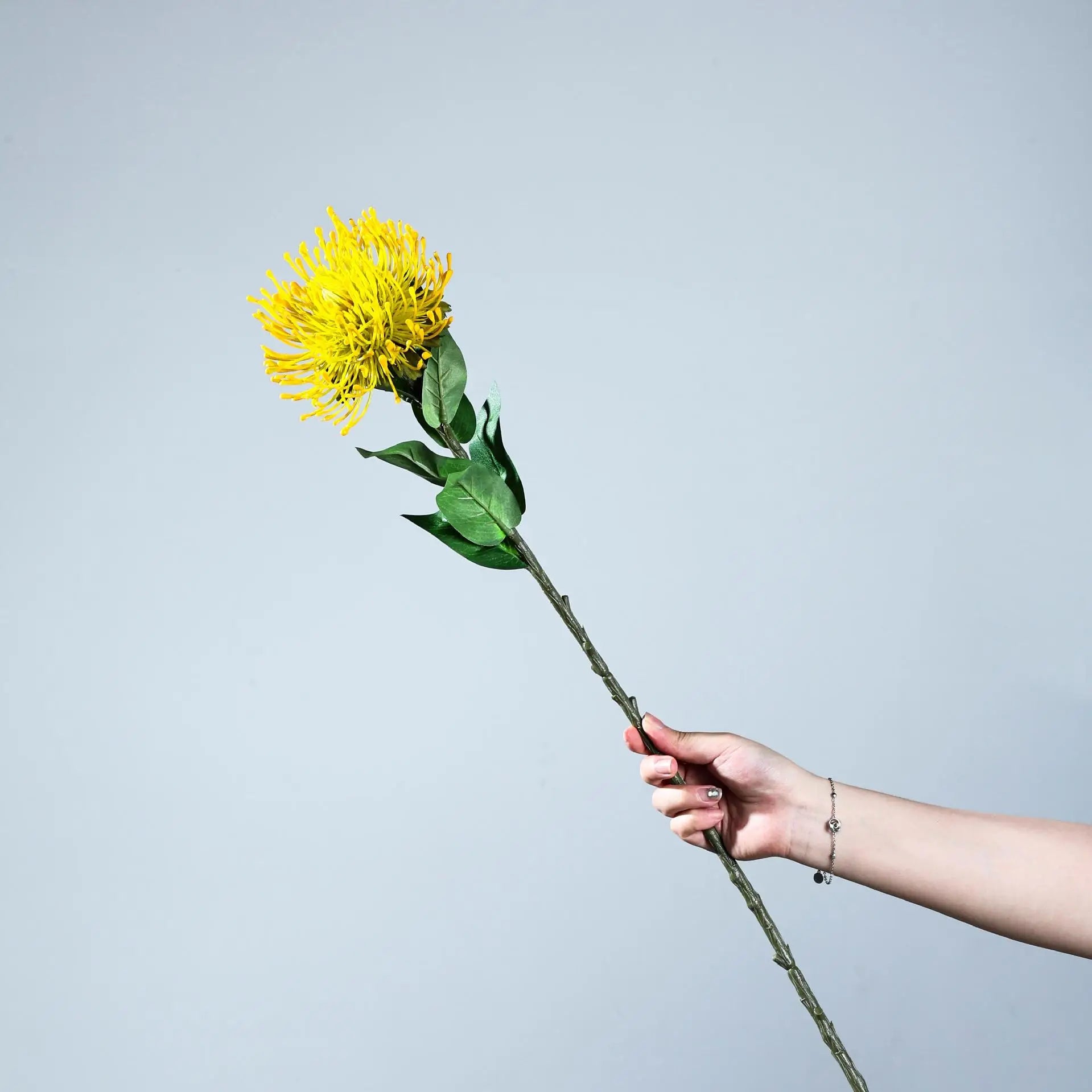Protea Spider Chrysanthemum Decor Stem