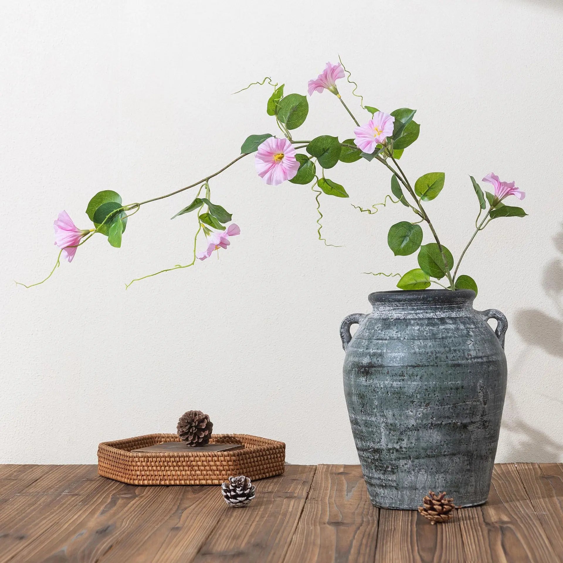 Morning Glory Trumpet Flower Stem