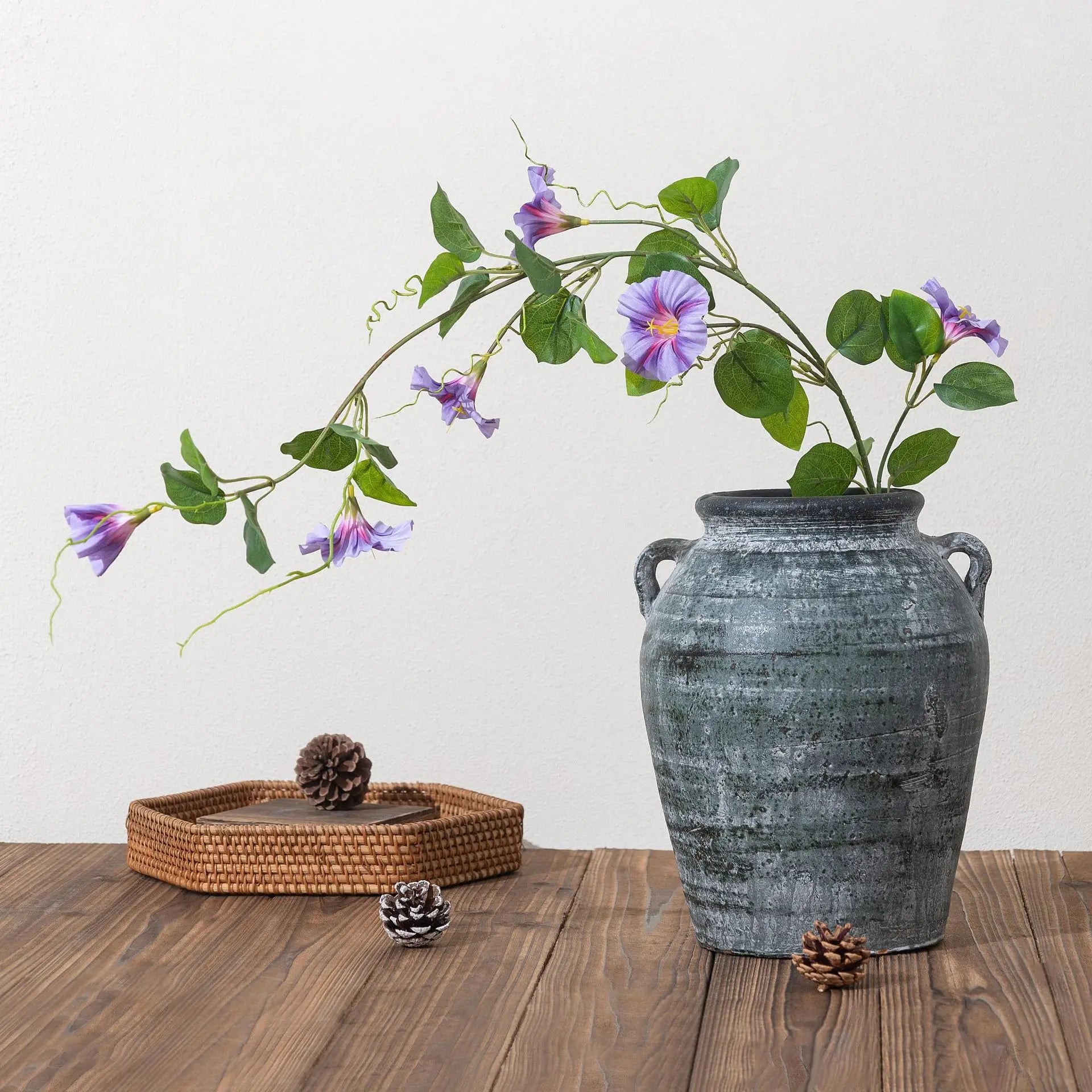 Morning Glory Trumpet Flower Stem