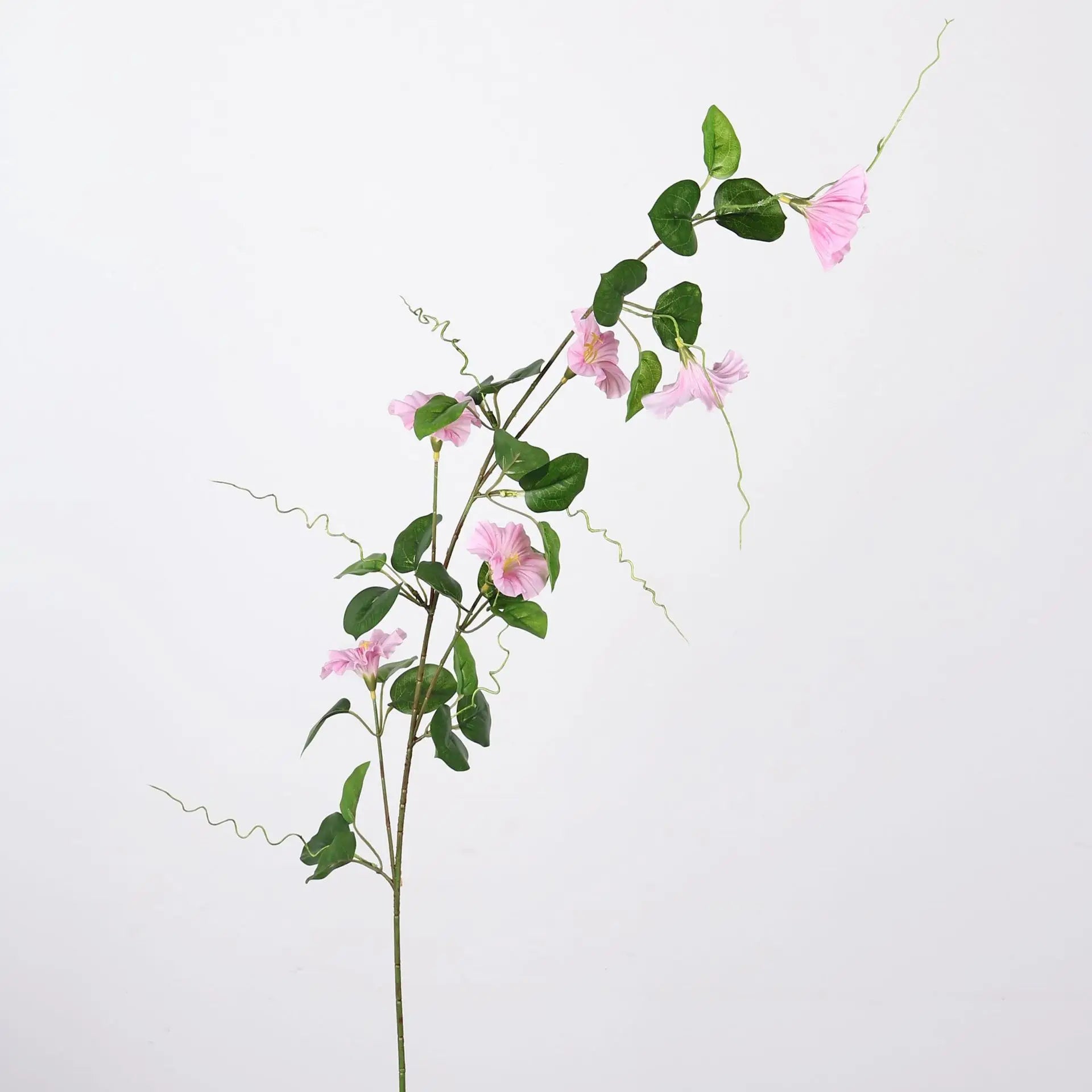 Morning Glory Hanging Floral Vine