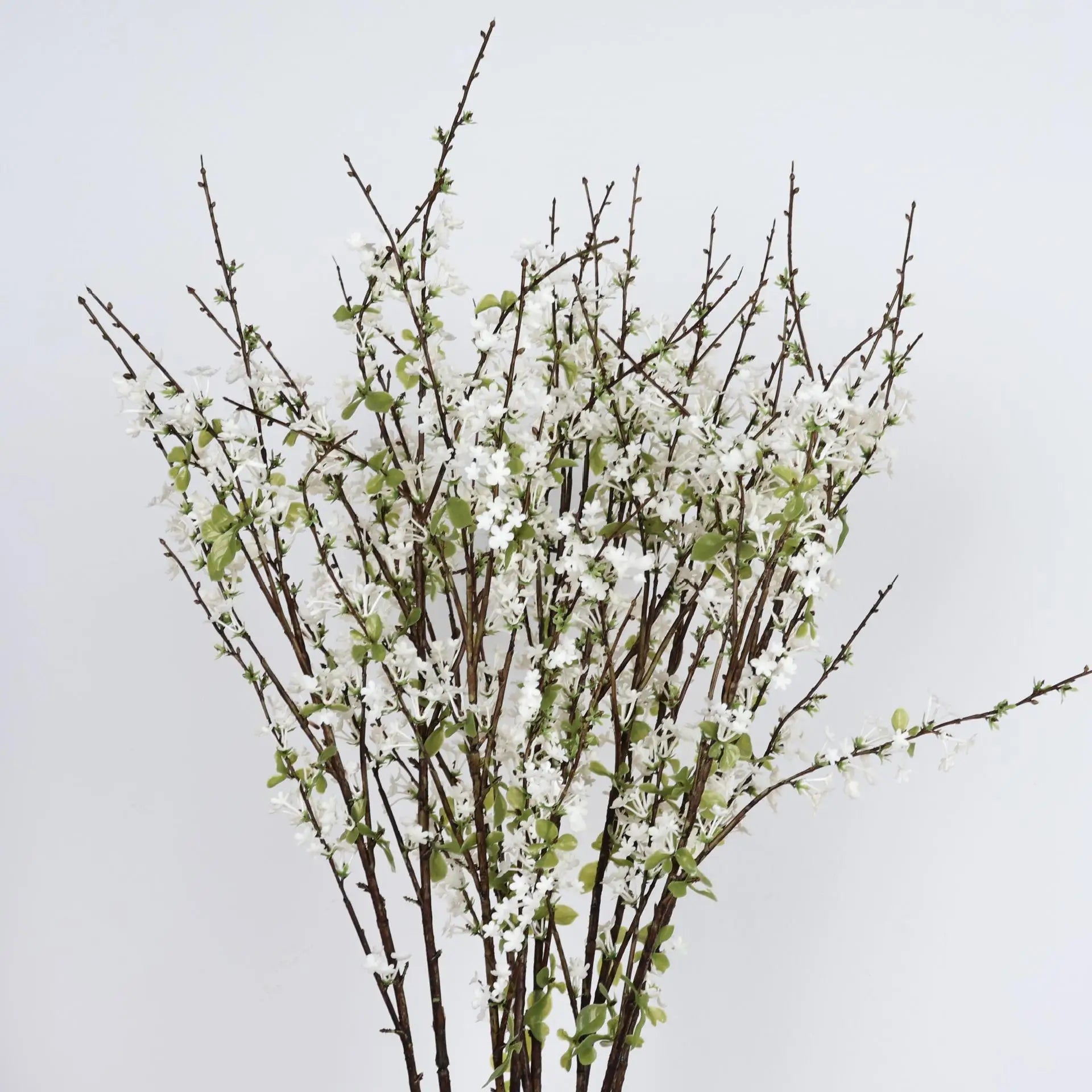 Spirea Snow Willow Decor Branch