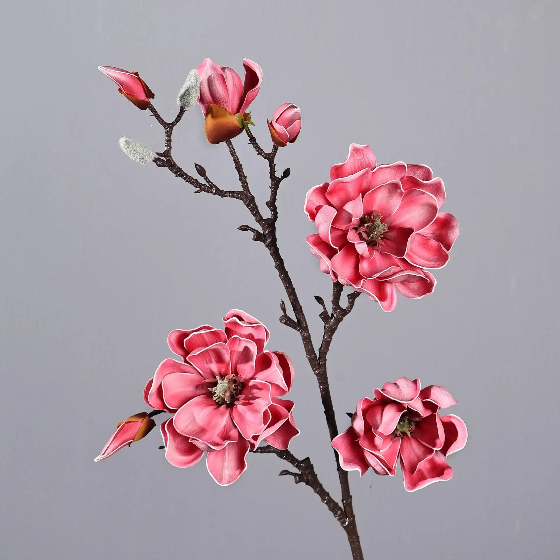 Magnolia Flowering Branch Decor