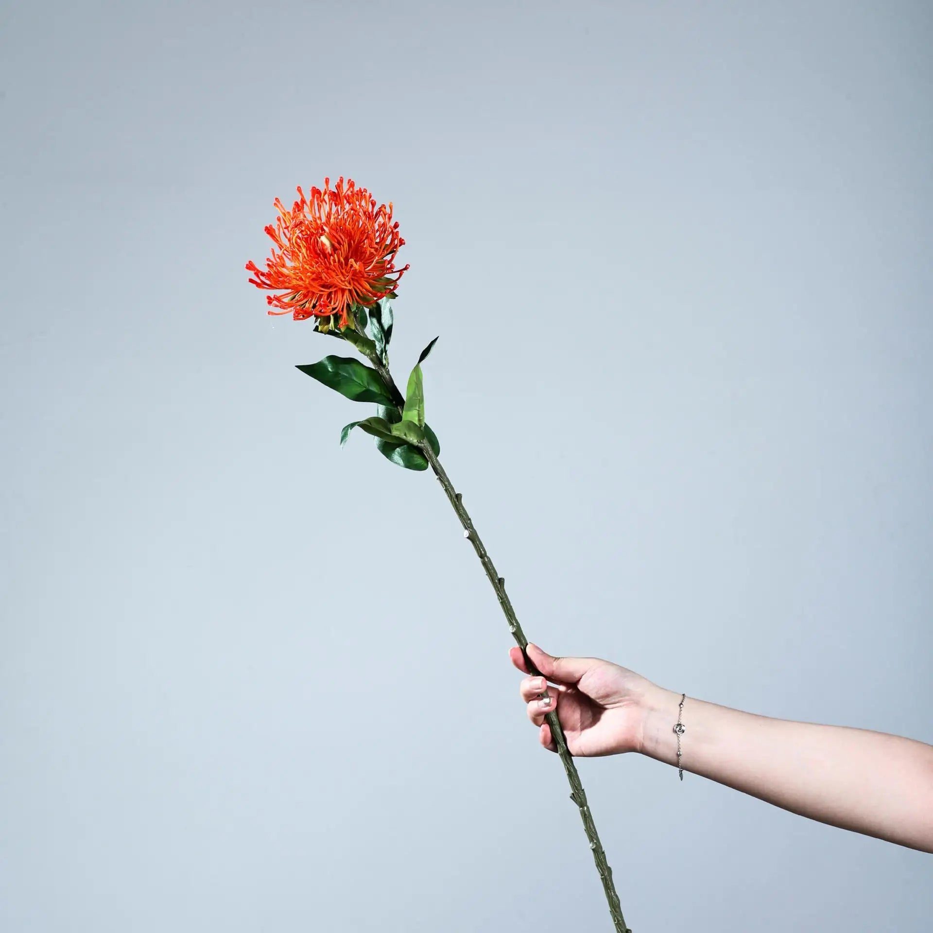 Protea Spider Chrysanthemum Decor Stem