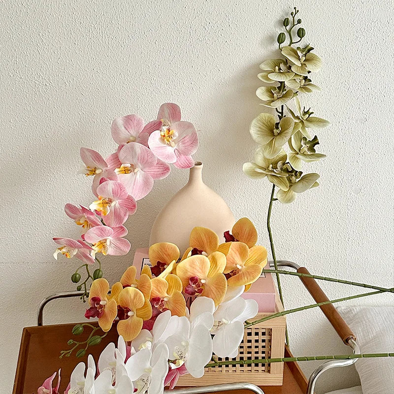 9 Head Latex Butterfly Orchid