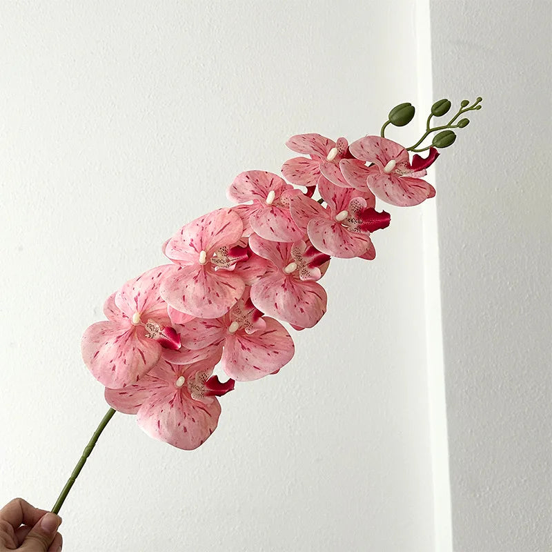 9 Head Latex Butterfly Orchid
