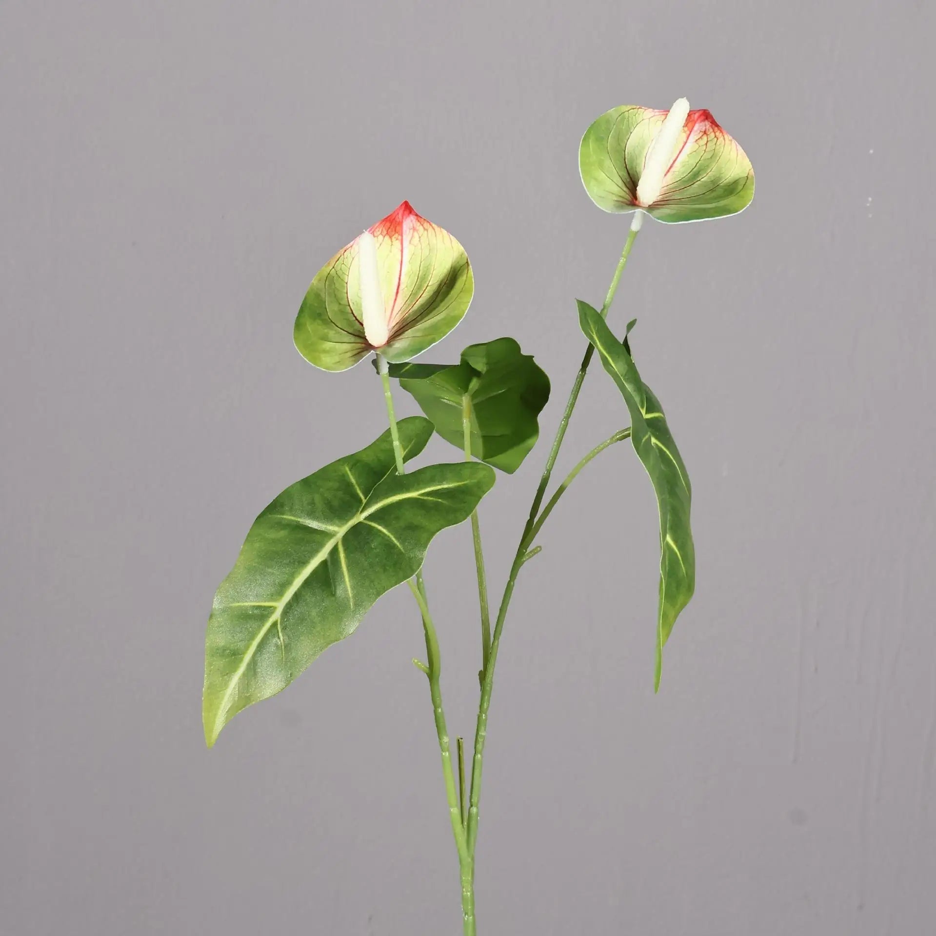 Artificial Anthurium Peace Lily Stem