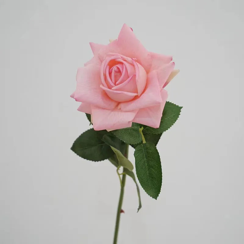 Premium Real Touch Roses