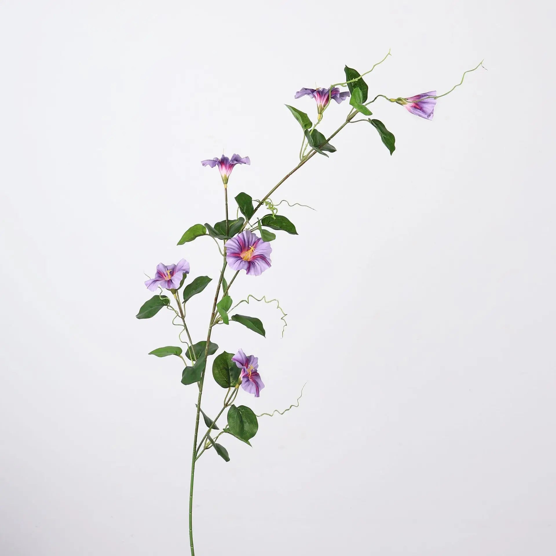 Morning Glory Hanging Floral Vine