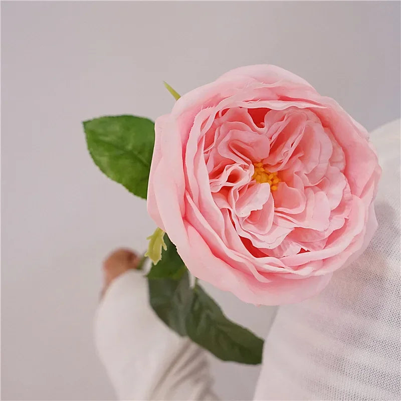 David Austin-Inspired Moisturizing Garden Roses – 5 Piece Set