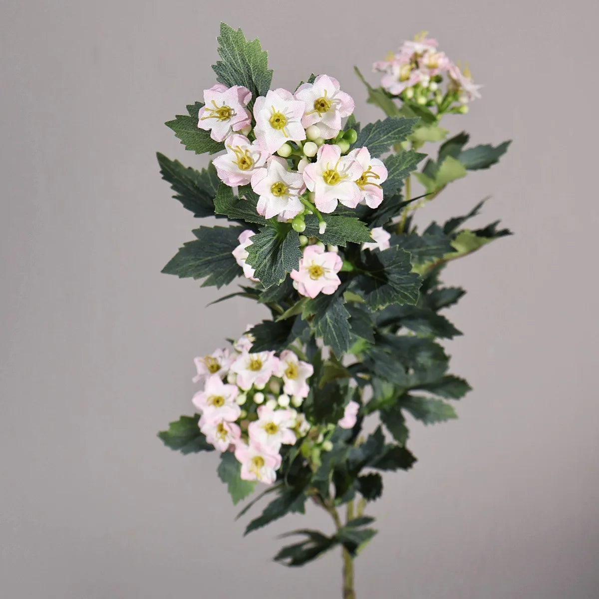 Snowball Edelweiss Floral Stem