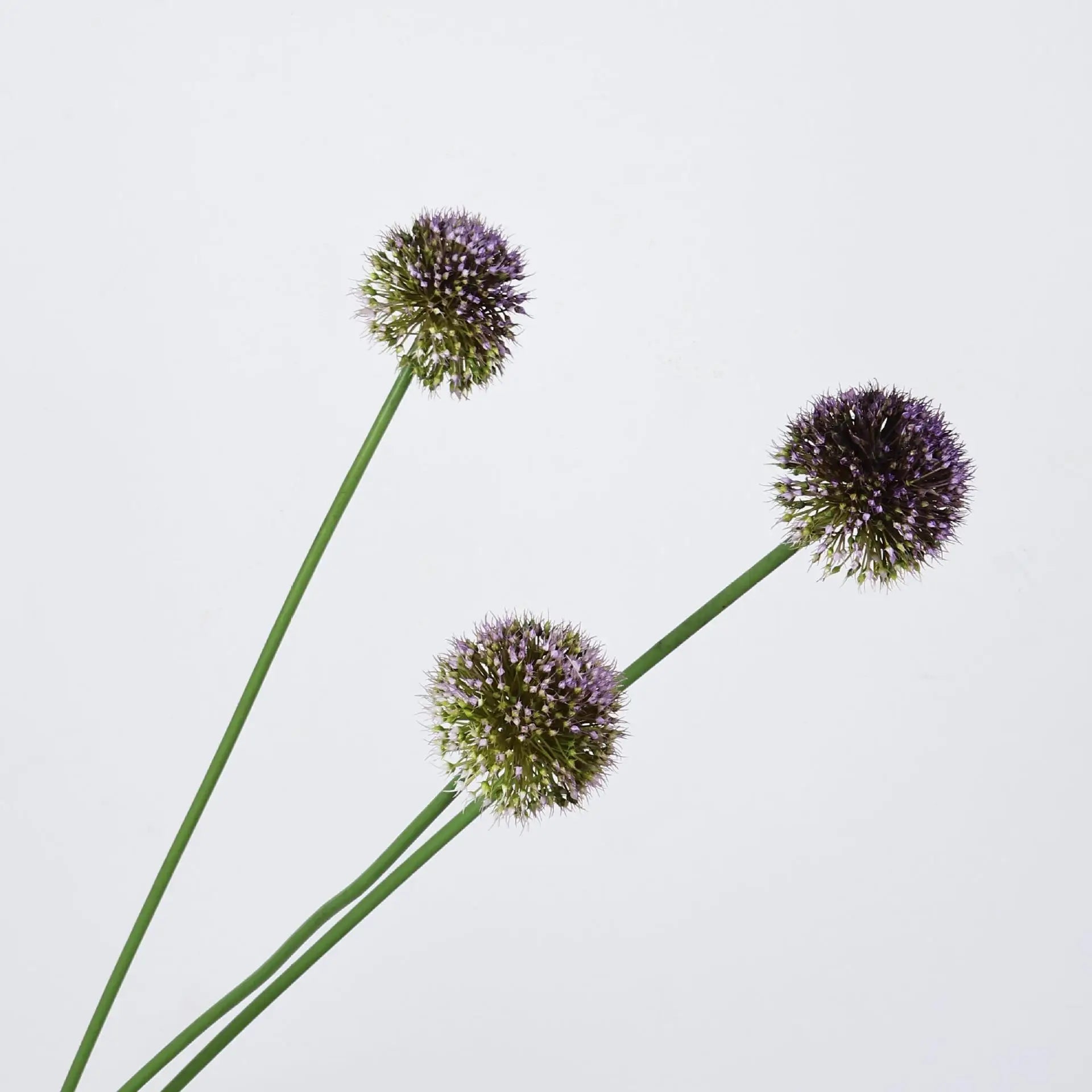 Allium Ball Floral Decor Stem