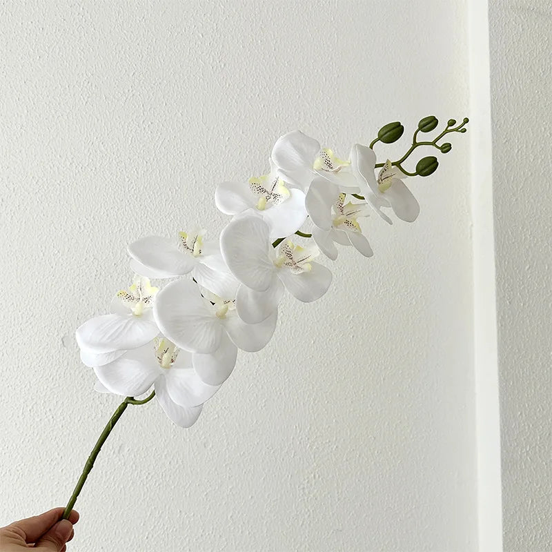 9 Head Latex Butterfly Orchid
