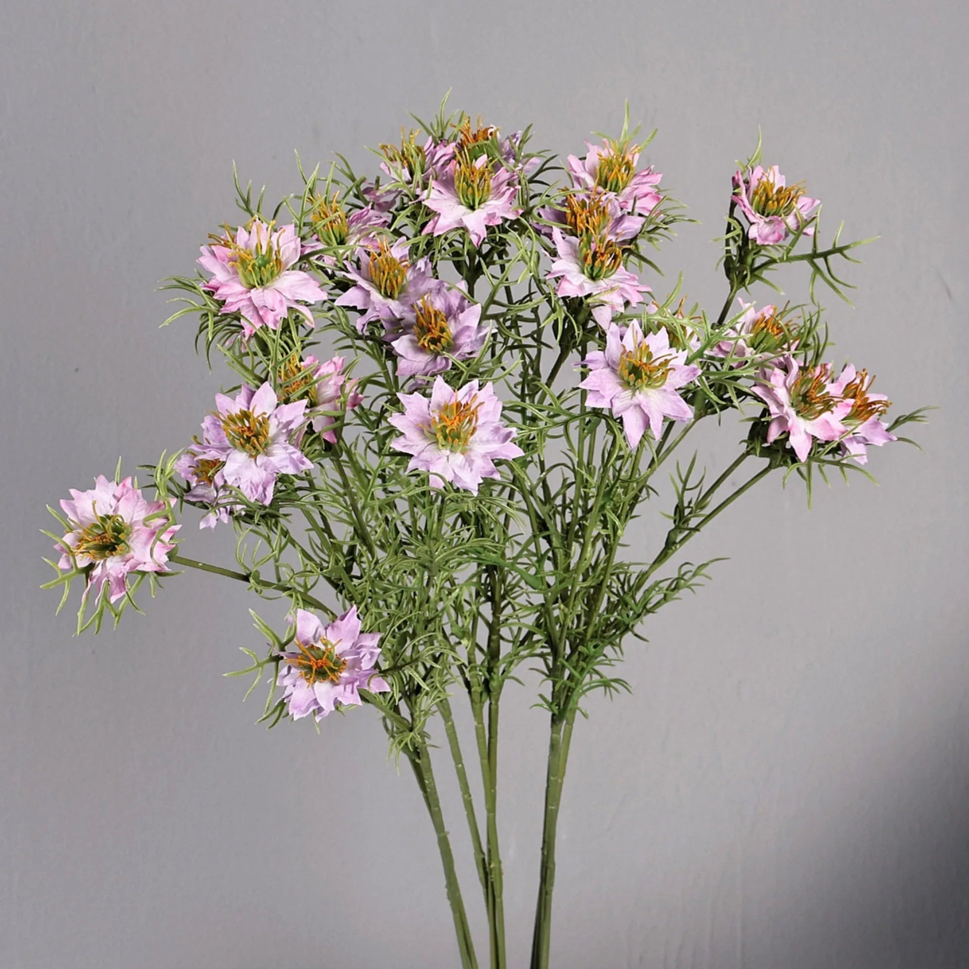Nigella Daisy Wildflower Spray Stem