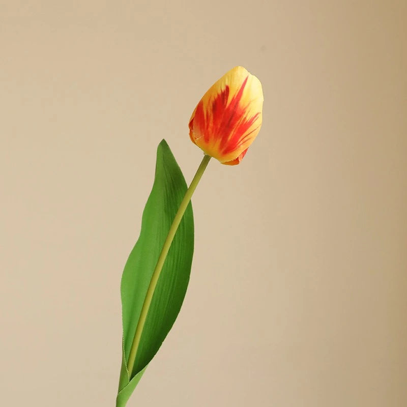 Elegant Tulip Bouquet Stem