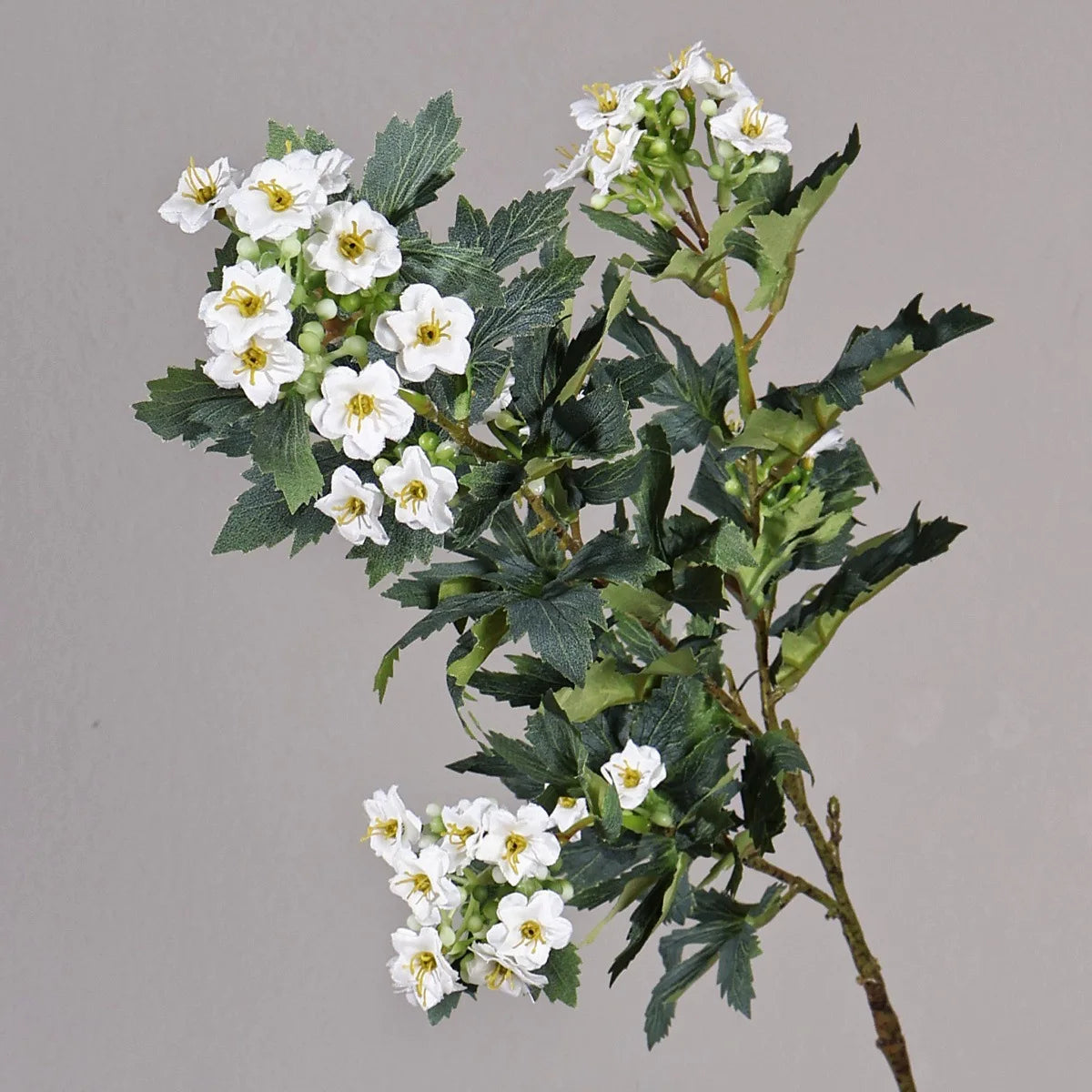 Snowball Edelweiss Floral Stem