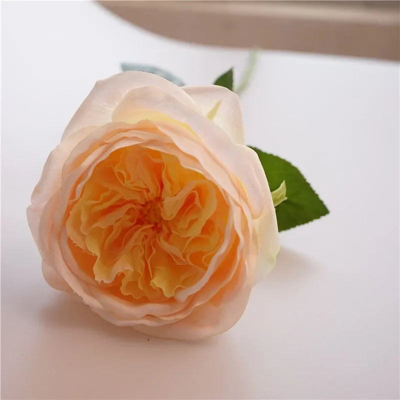 David Austin-Inspired Moisturizing Garden Roses – 5 Piece Set