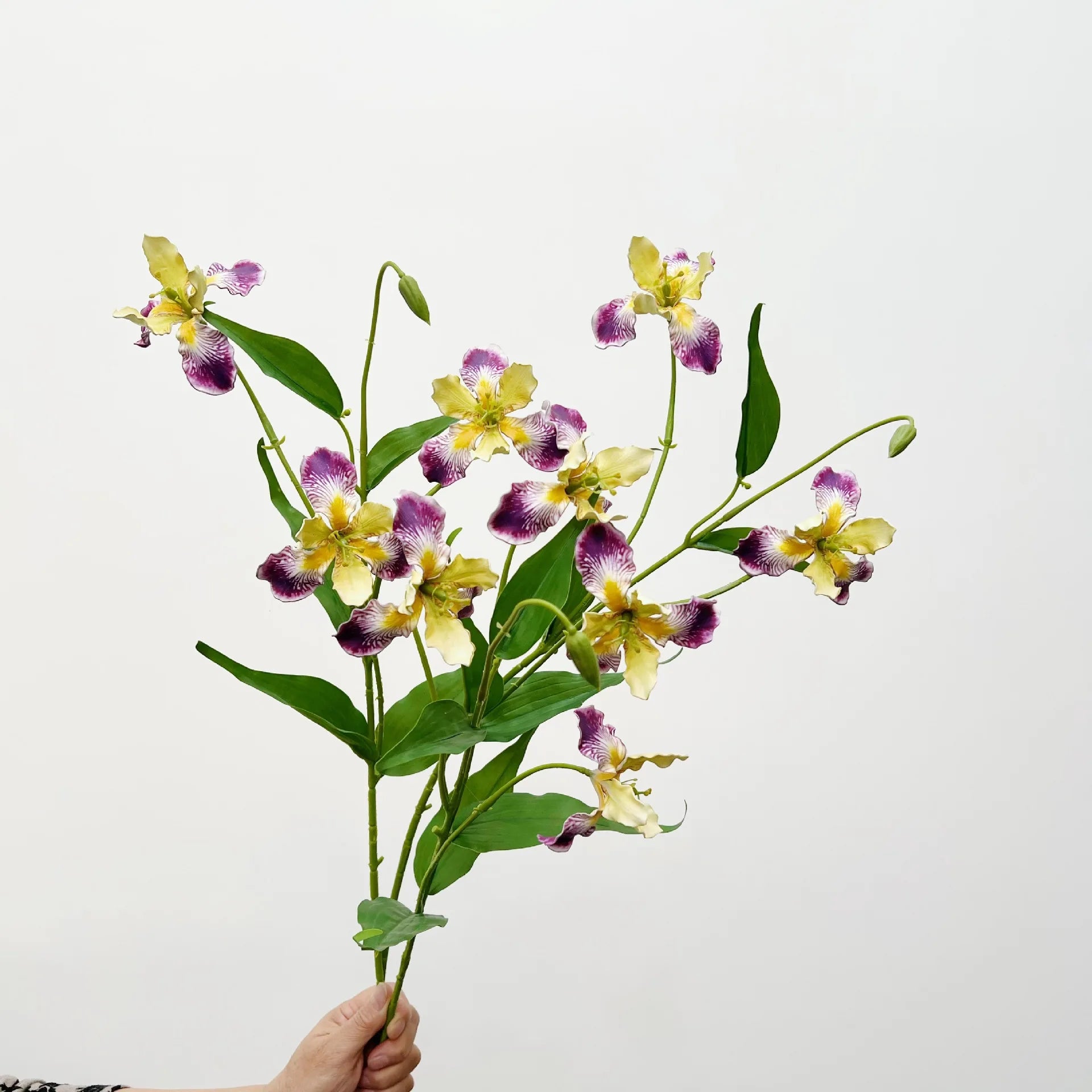 Elegant Iris Floral Display Stem