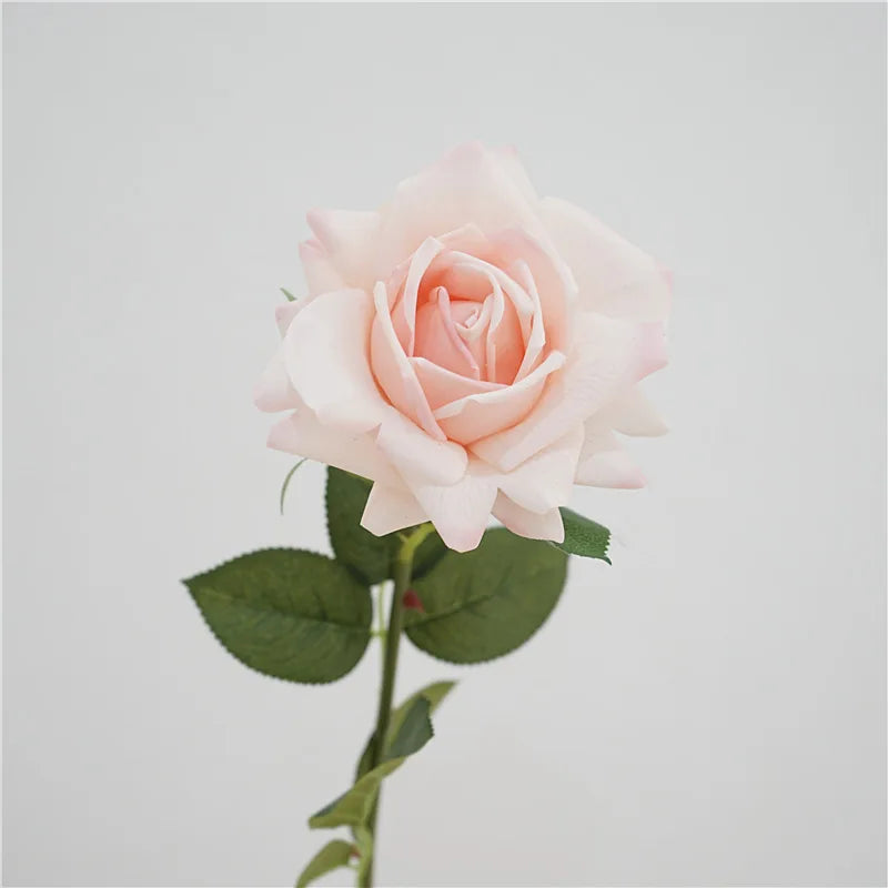 Premium Real Touch Roses