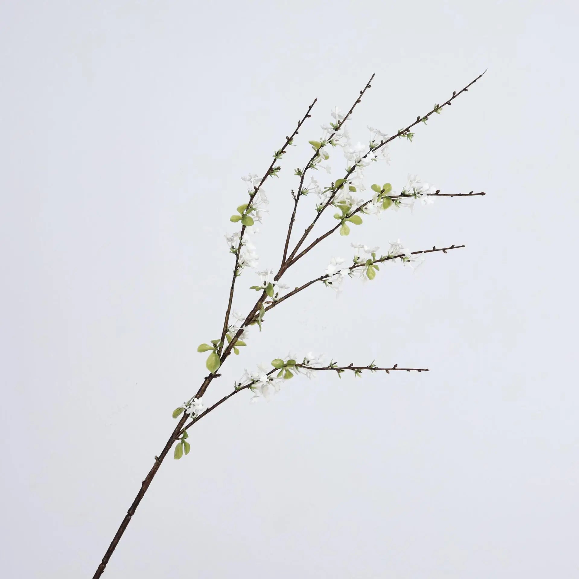 Spirea Snow Willow Decor Branch