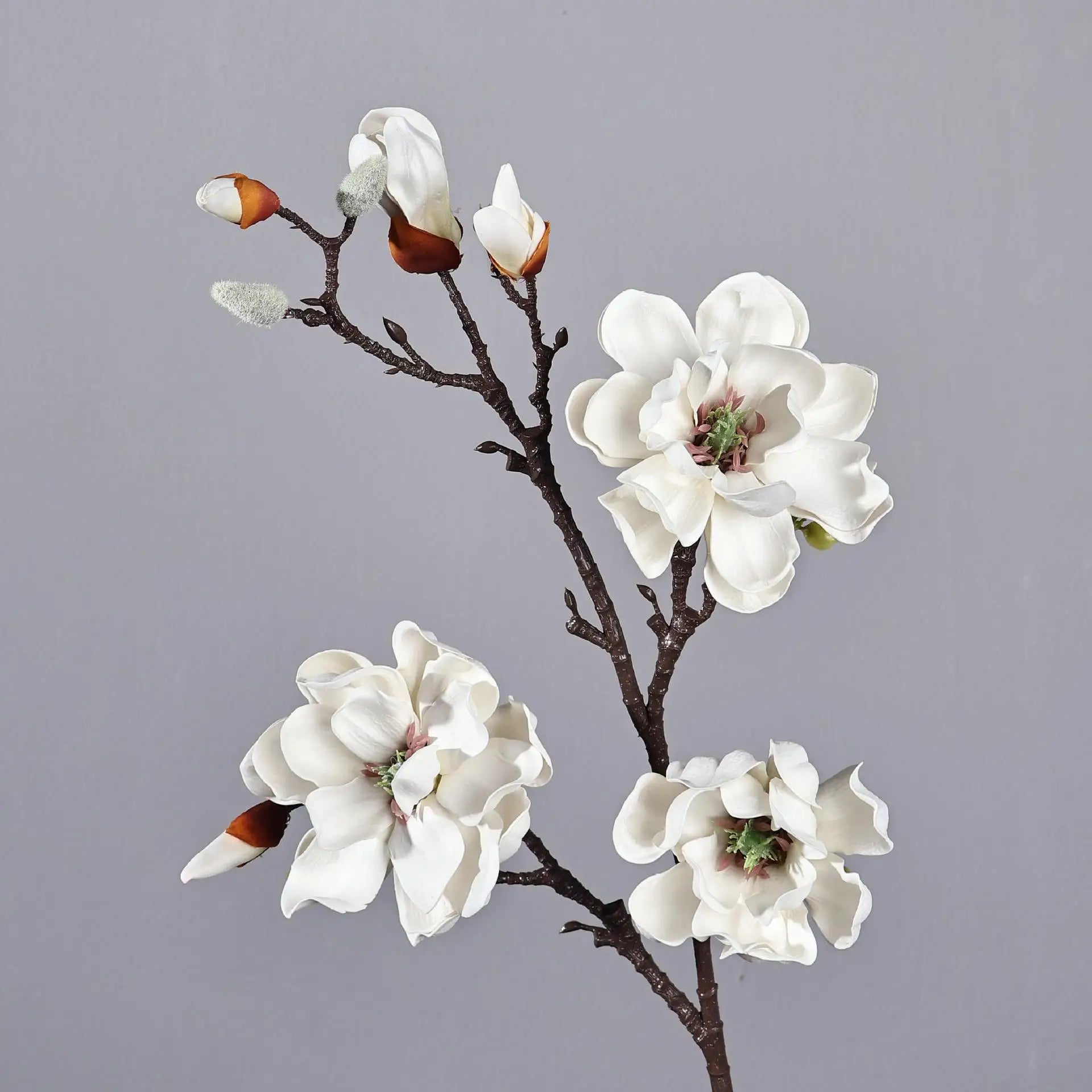 Magnolia Flowering Branch Decor