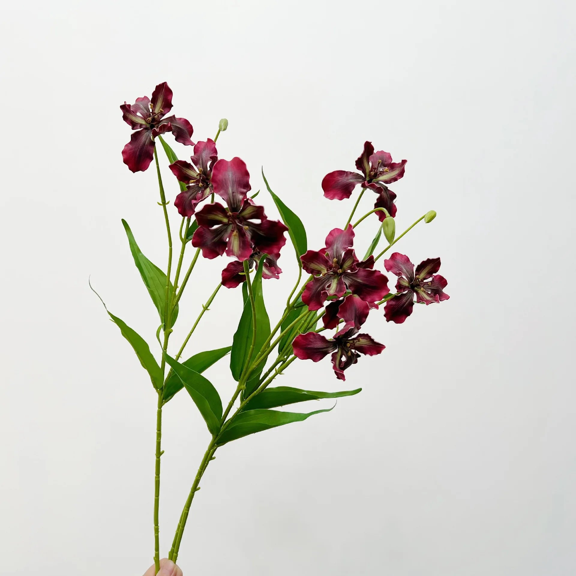 Elegant Iris Floral Display Stem