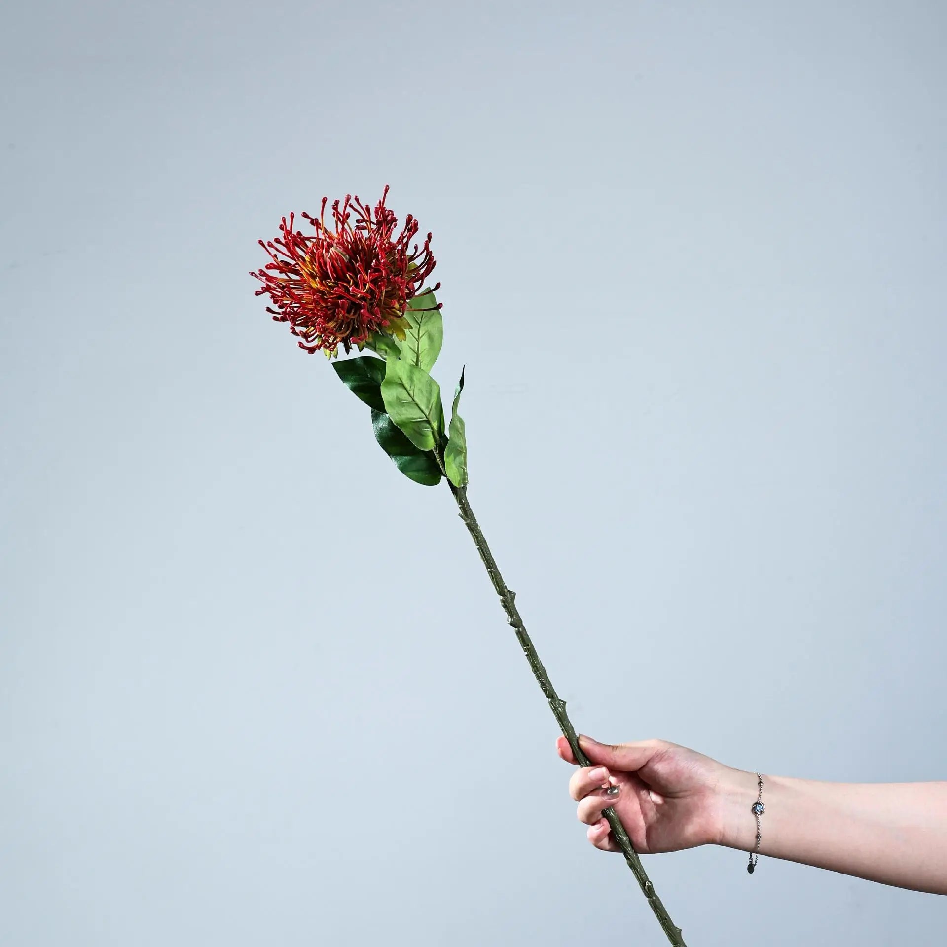 Protea Spider Chrysanthemum Decor Stem