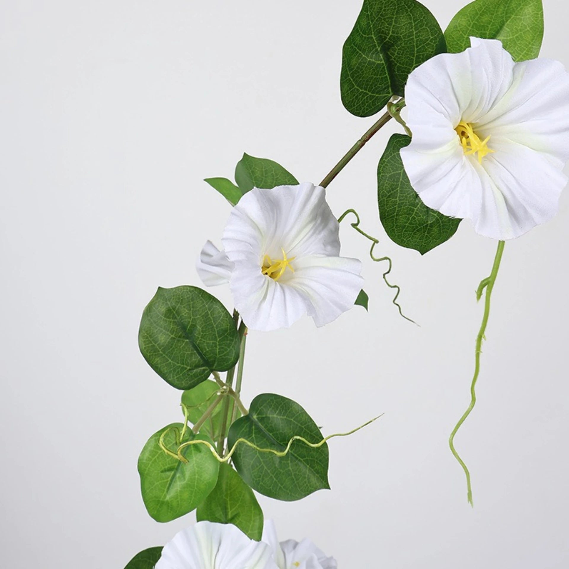 Morning Glory Hanging Floral Vine