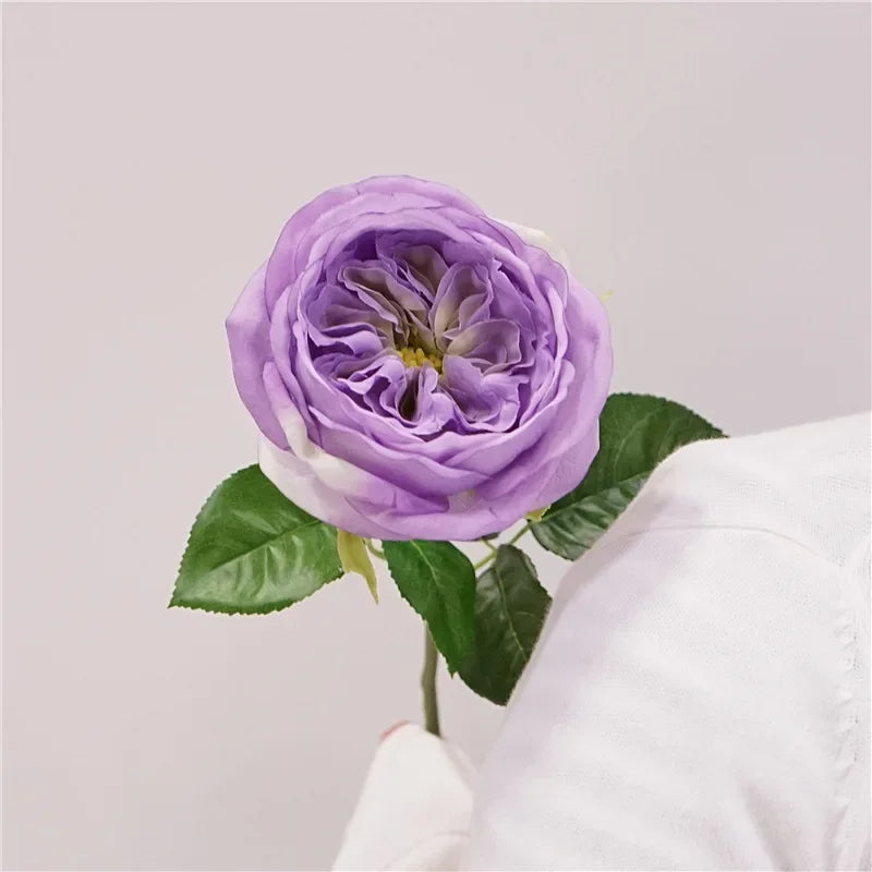 David Austin-Inspired Moisturizing Garden Roses – 5 Piece Set