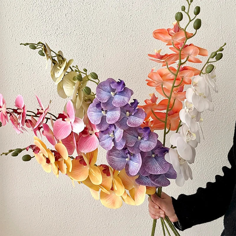 9 Head Latex Butterfly Orchid