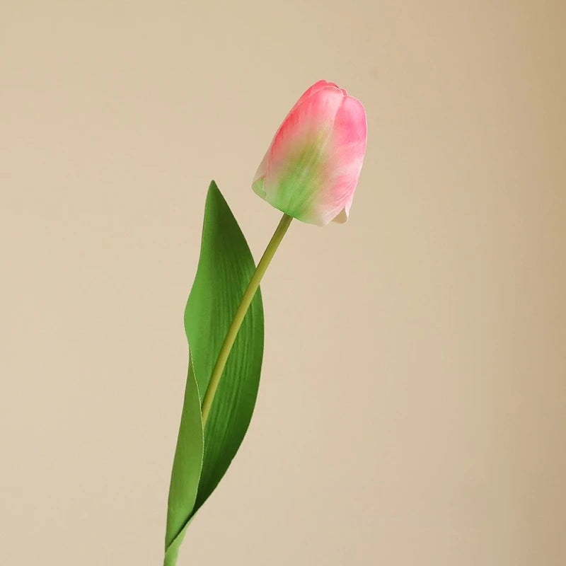 Elegant Tulip Bouquet Stem