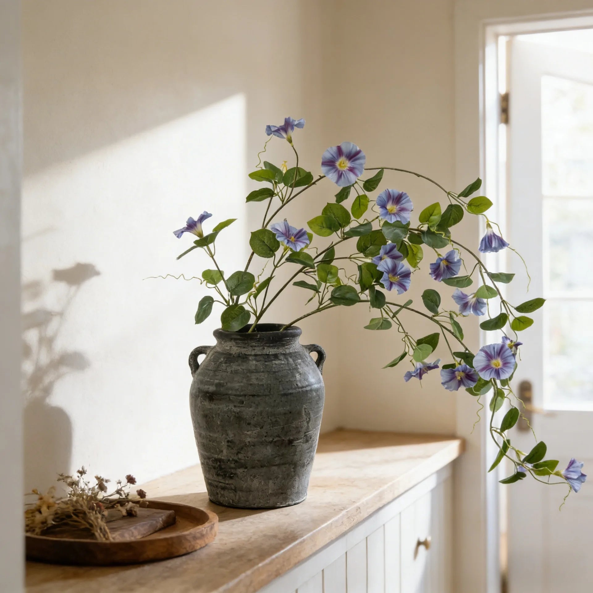 Morning Glory Trumpet Flower Stem
