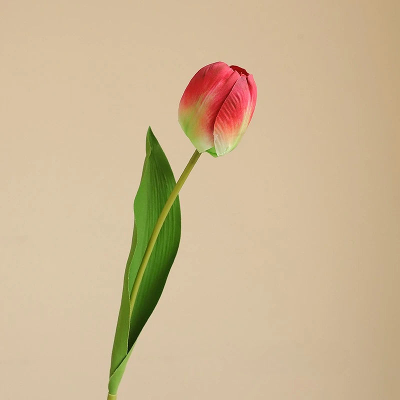 Elegant Tulip Bouquet Stem