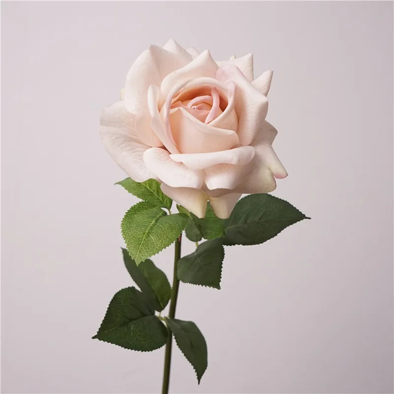 Premium Real Touch Roses
