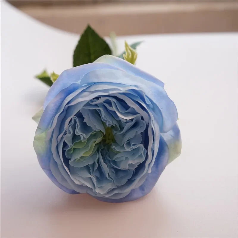 David Austin-Inspired Moisturizing Garden Roses – 5 Piece Set