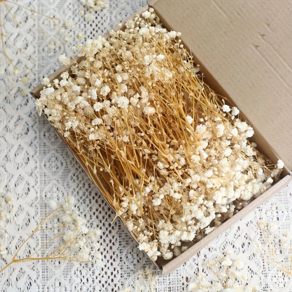 Natural Dried Flower Arrangement Kit
