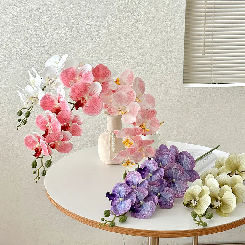 9 Head Latex Butterfly Orchid