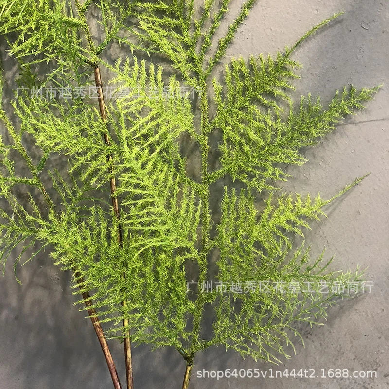 Asparagus Fern Artificial Greenery Stem