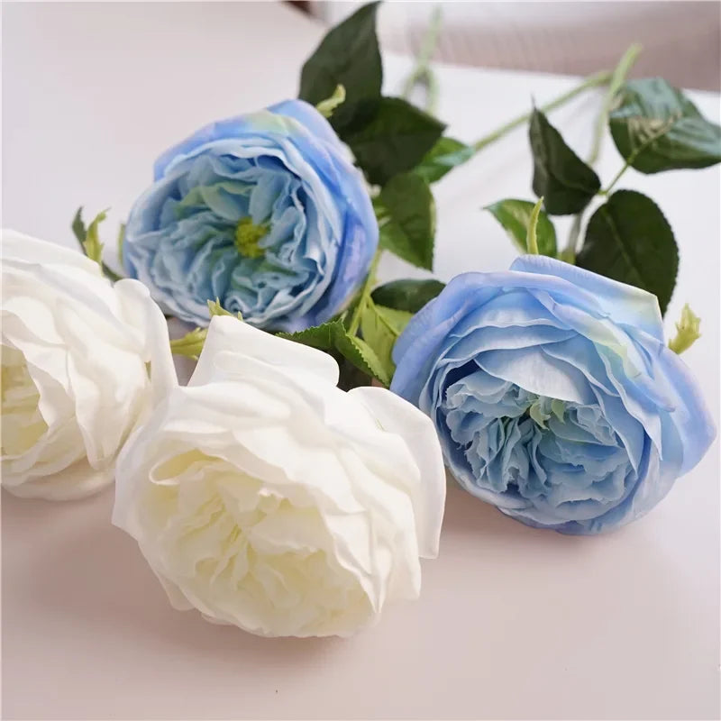 David Austin-Inspired Moisturizing Garden Roses – 5 Piece Set