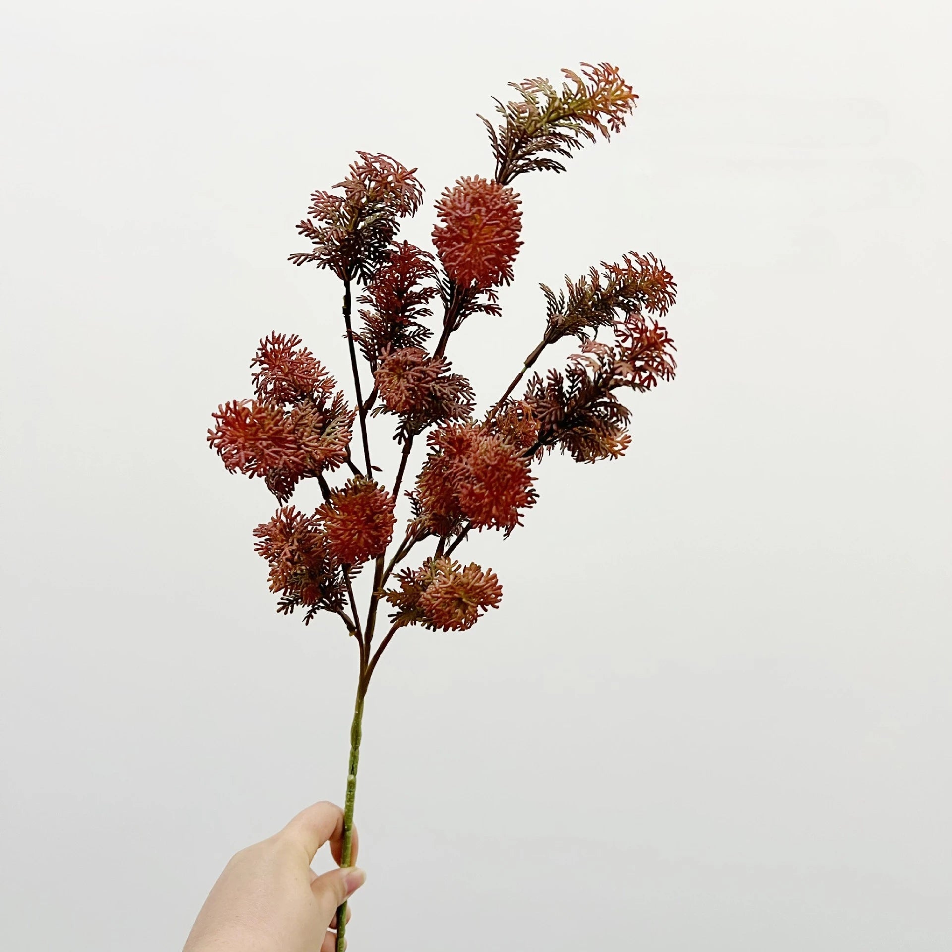 Lion Tail Grass Wedding Decor