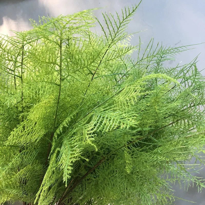 Asparagus Fern Artificial Greenery Stem