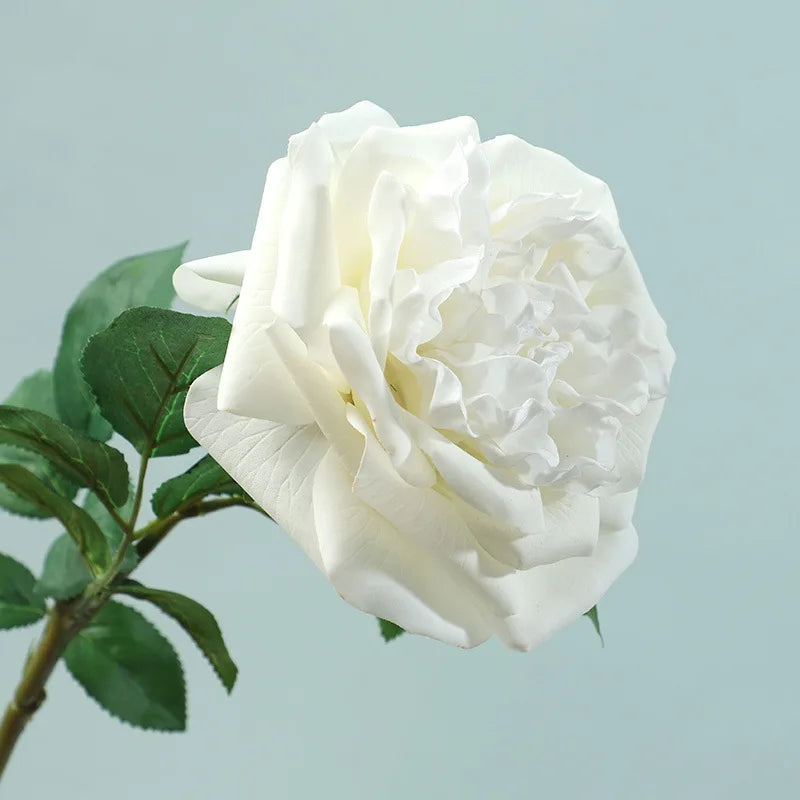 Real Touch Garden Rose Stems – Set of 5