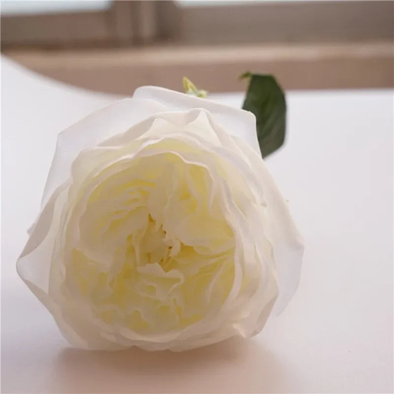 David Austin-Inspired Moisturizing Garden Roses – 5 Piece Set